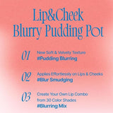 a pink and blue poster with the words lip & cheek blury pudding pot