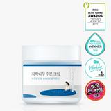 Round Lab Birch Juice Moisturizing Pad jar adorned with various beauty awards, symbolizing its recognition and effectiveness, featuring artistic illustrations and branding elements.