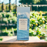 The packaging of Skin1004 Madagascar Centella Hyalu-Cica Water-Fit Sun Serum, artistically positioned outdoors, reflecting its natural ingredients and refreshing qualities perfect for skincare enthusiasts.