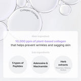 Close-up of TIRTIR Collagen Lifting Eye Cream's applicator tip, designed for precision application to enhance absorption and reduce puffiness.